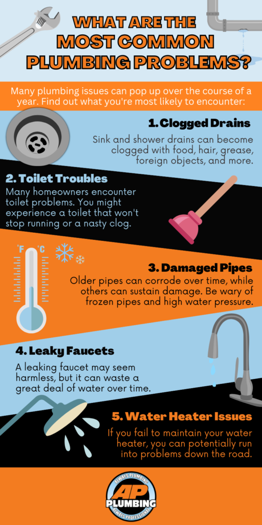 What Are the Most Common Plumbing Problems infographic