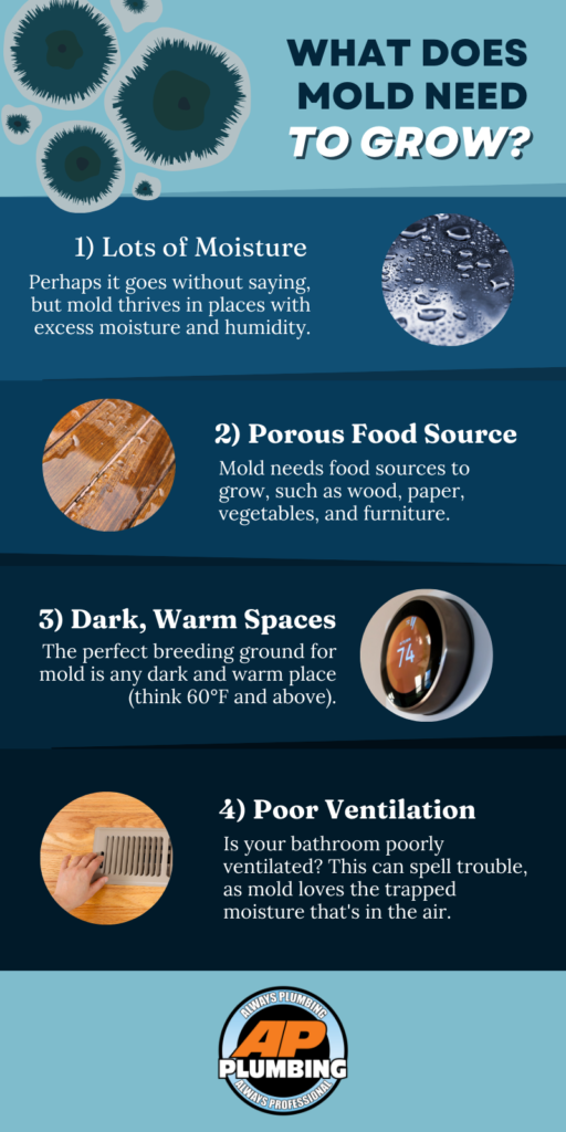 what does mold need to grow infographic lists 4 things with photos over blue backgrounds
